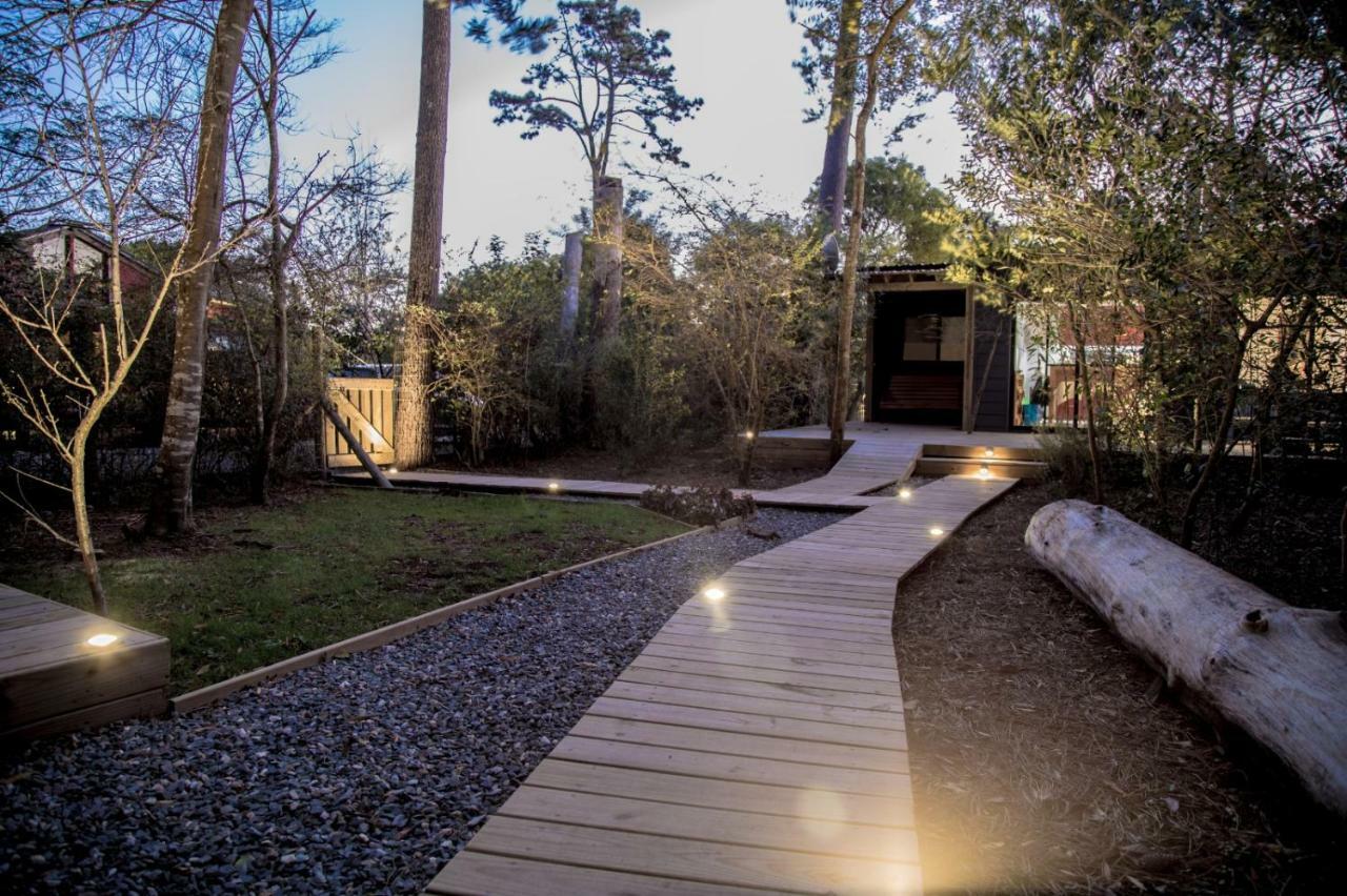 Sisepuede Villa Ocean Park Eksteriør billede